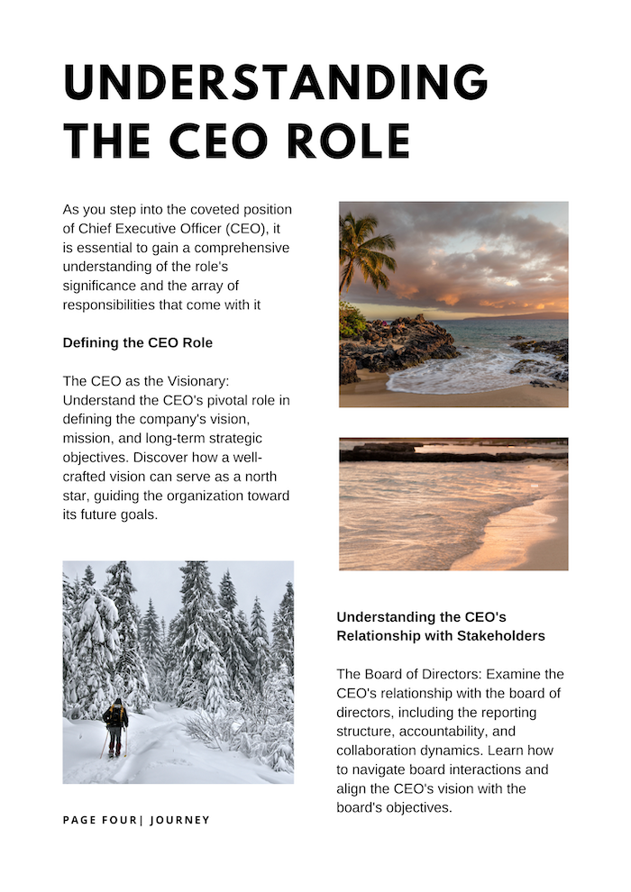 Chapter 1: Understanding the CEO Role