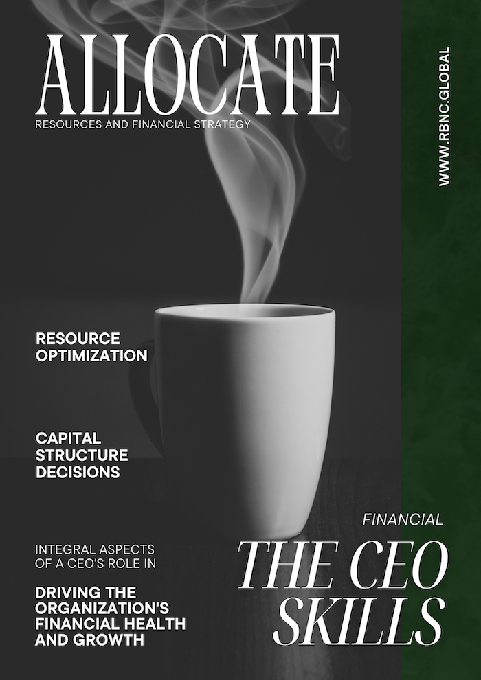 Resource Allocation and Financial Strategy - The Required Skills for CEO