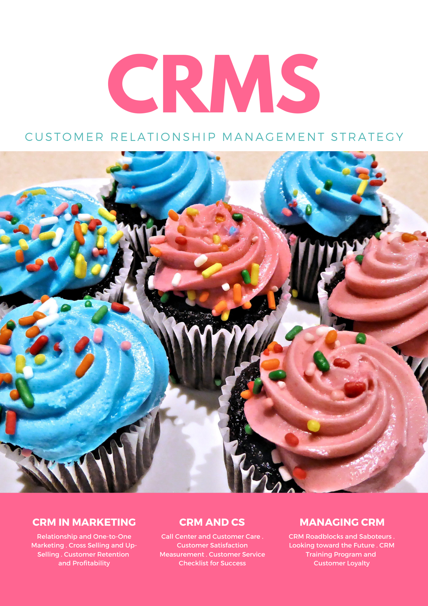 CRM: Customer Relationship Management Strategy