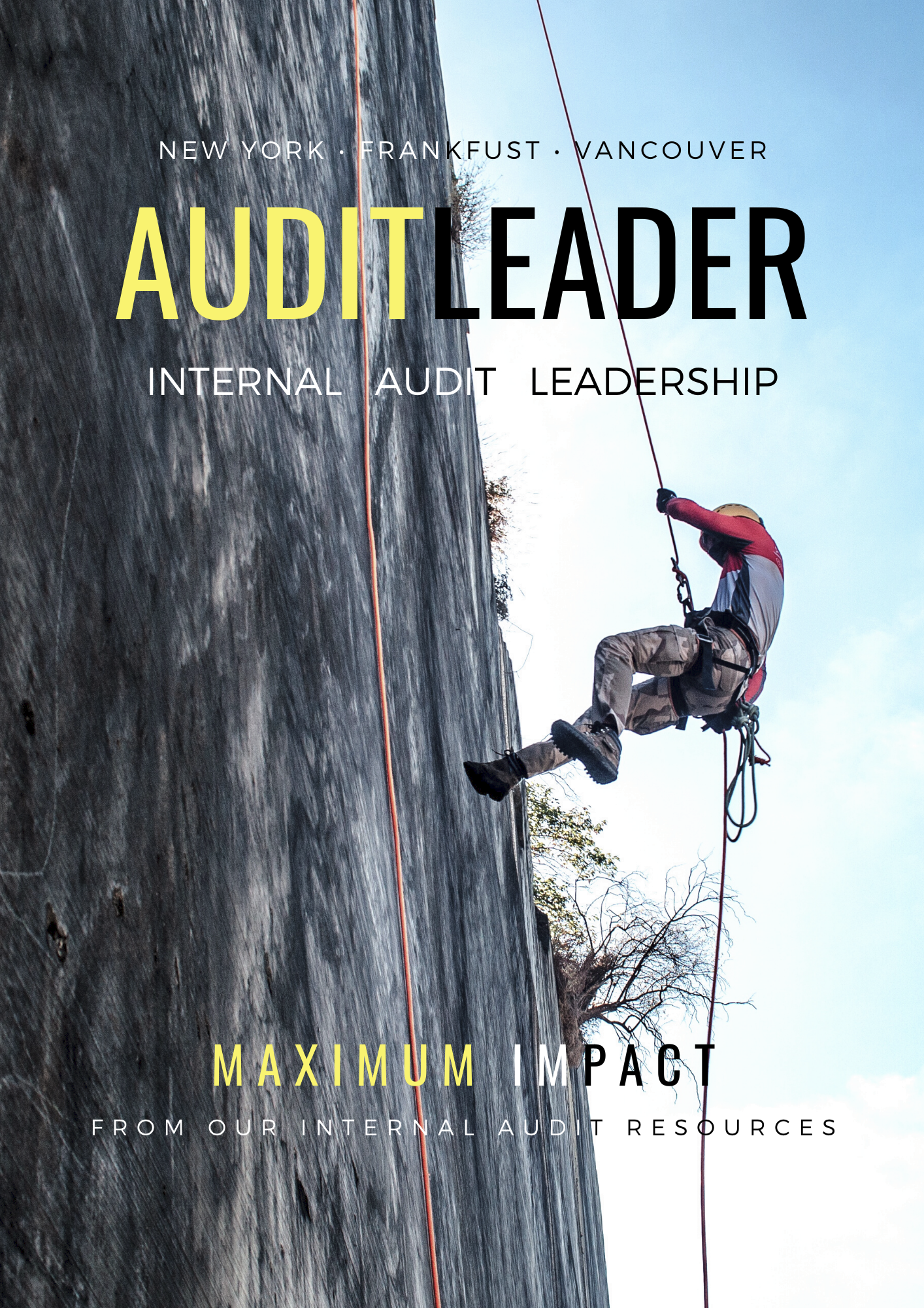 High Impact Internal Audit Leadership