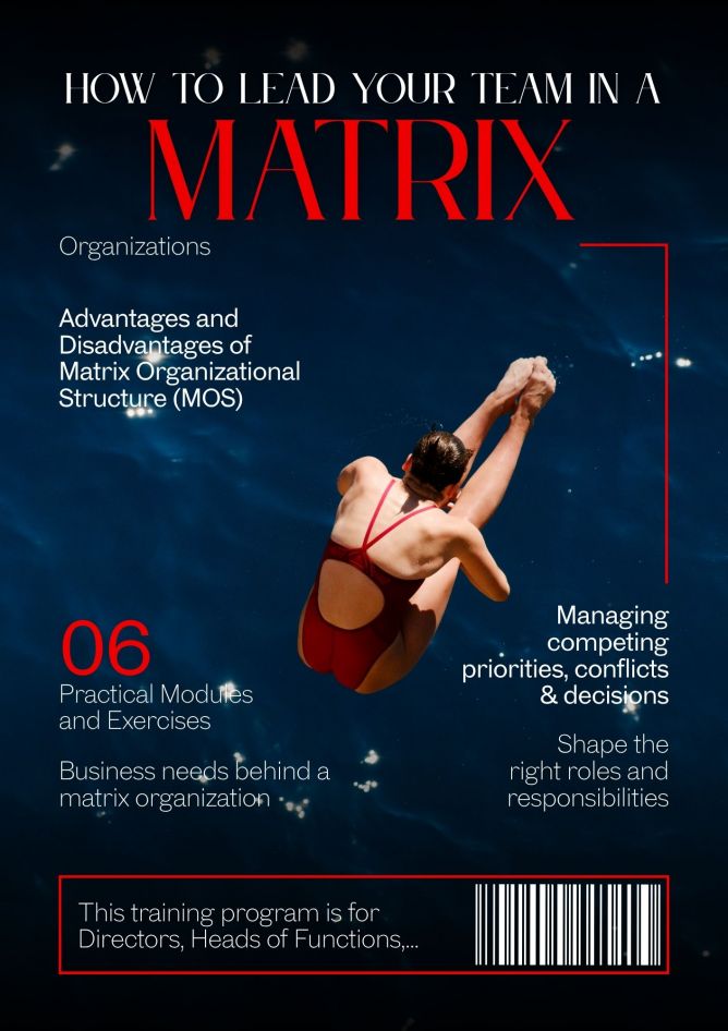 How to Lead Your Team in a Matrix Organization