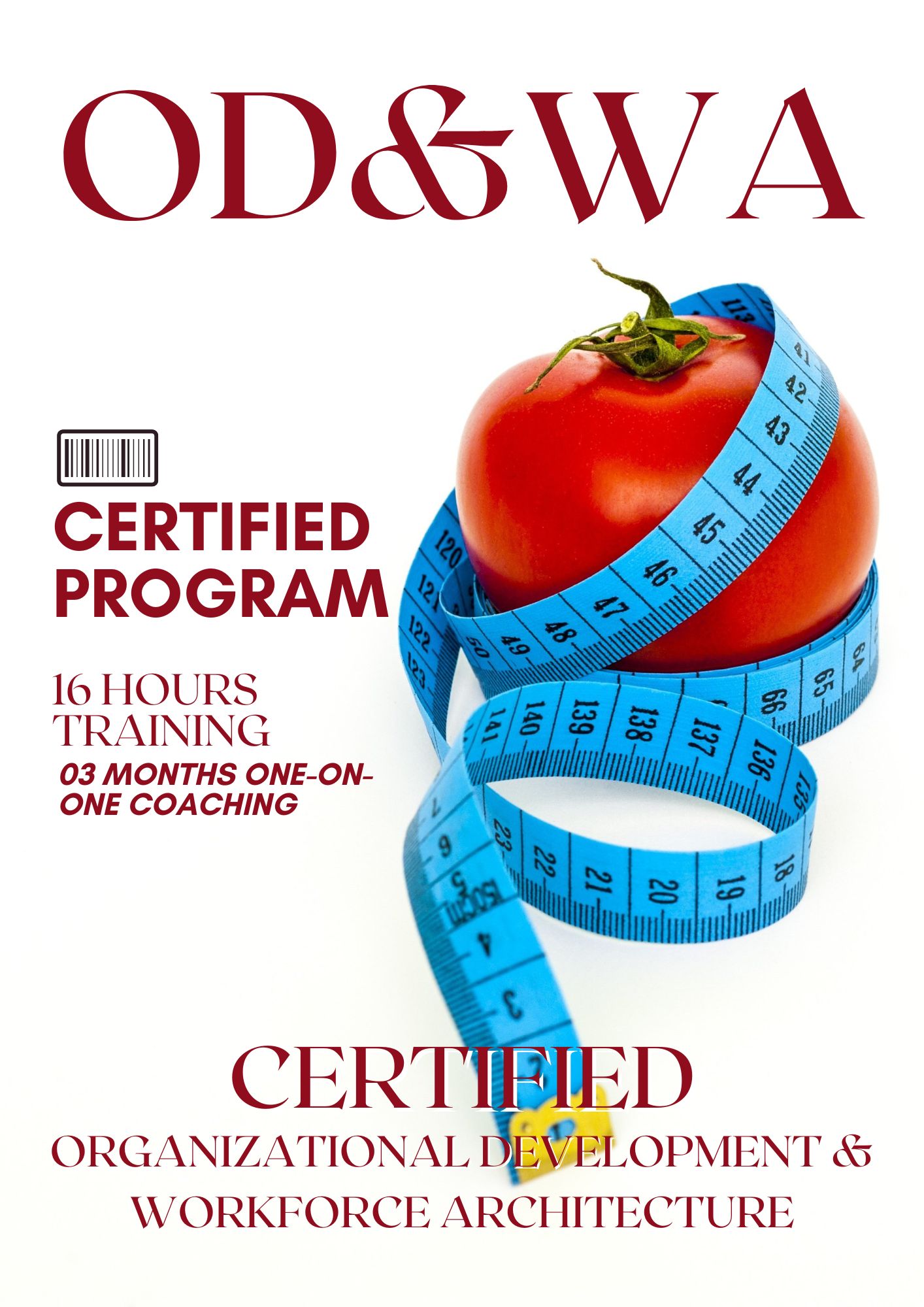 Certified Organizational Development & Workforce Architecture