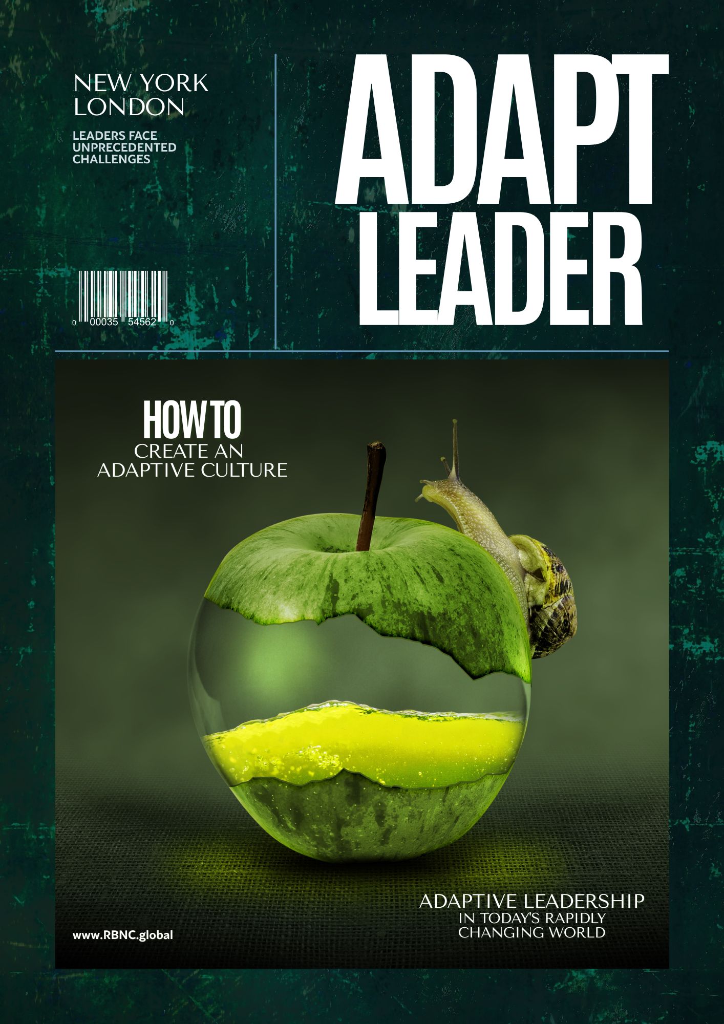 Adaptive Leadership Skills