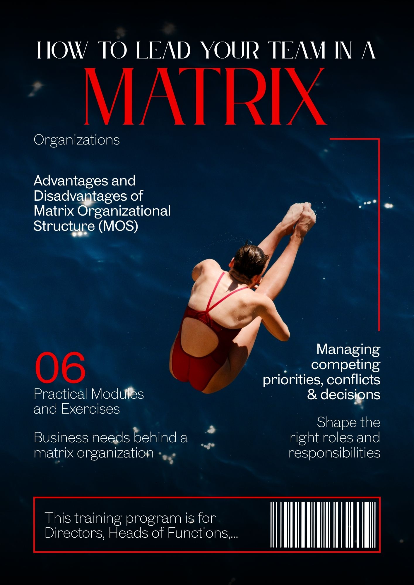 How to Lead Your Team in a Matrix Organization