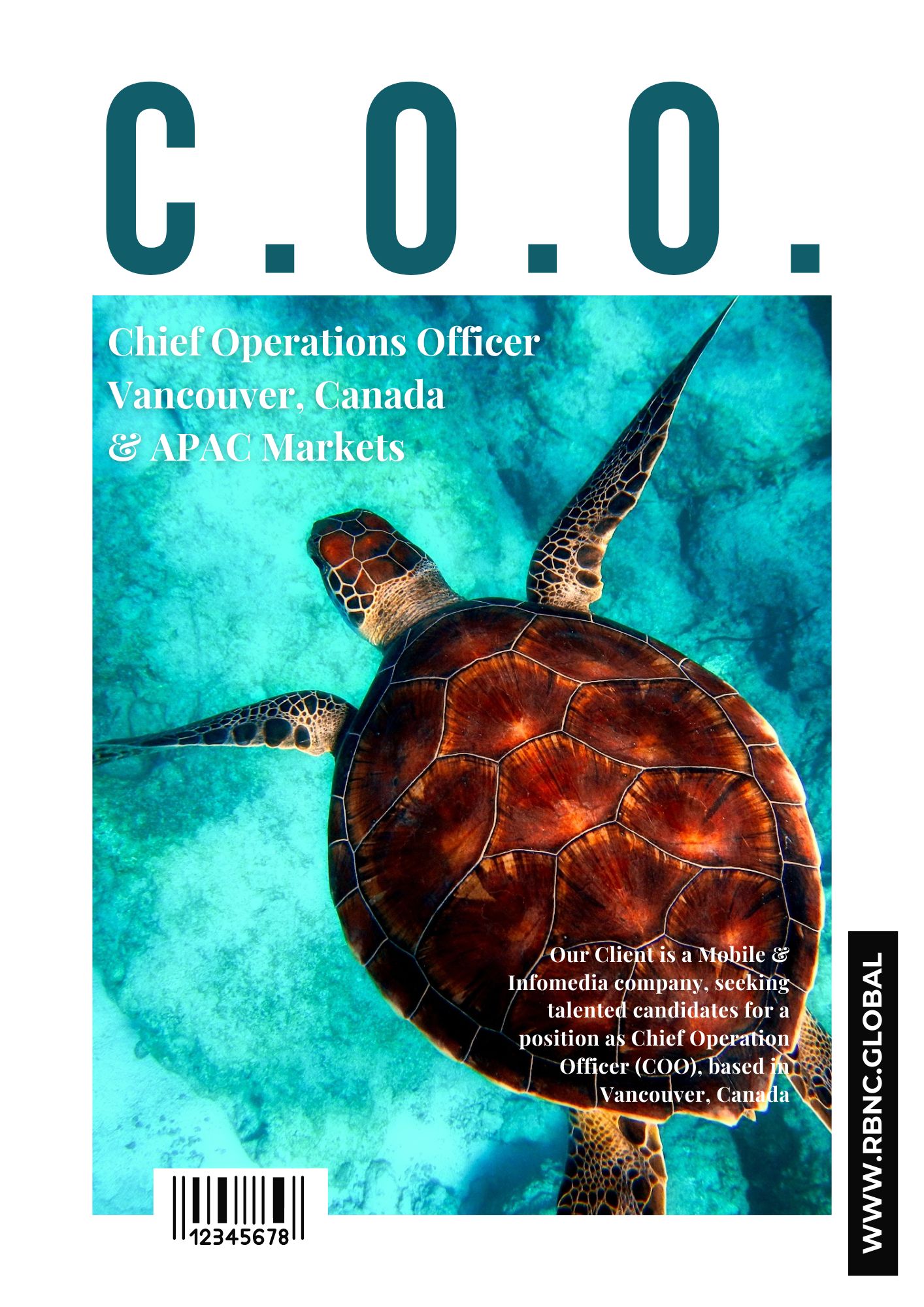 Chief Operations Officer (COO) Chief Operations Officer (COO)