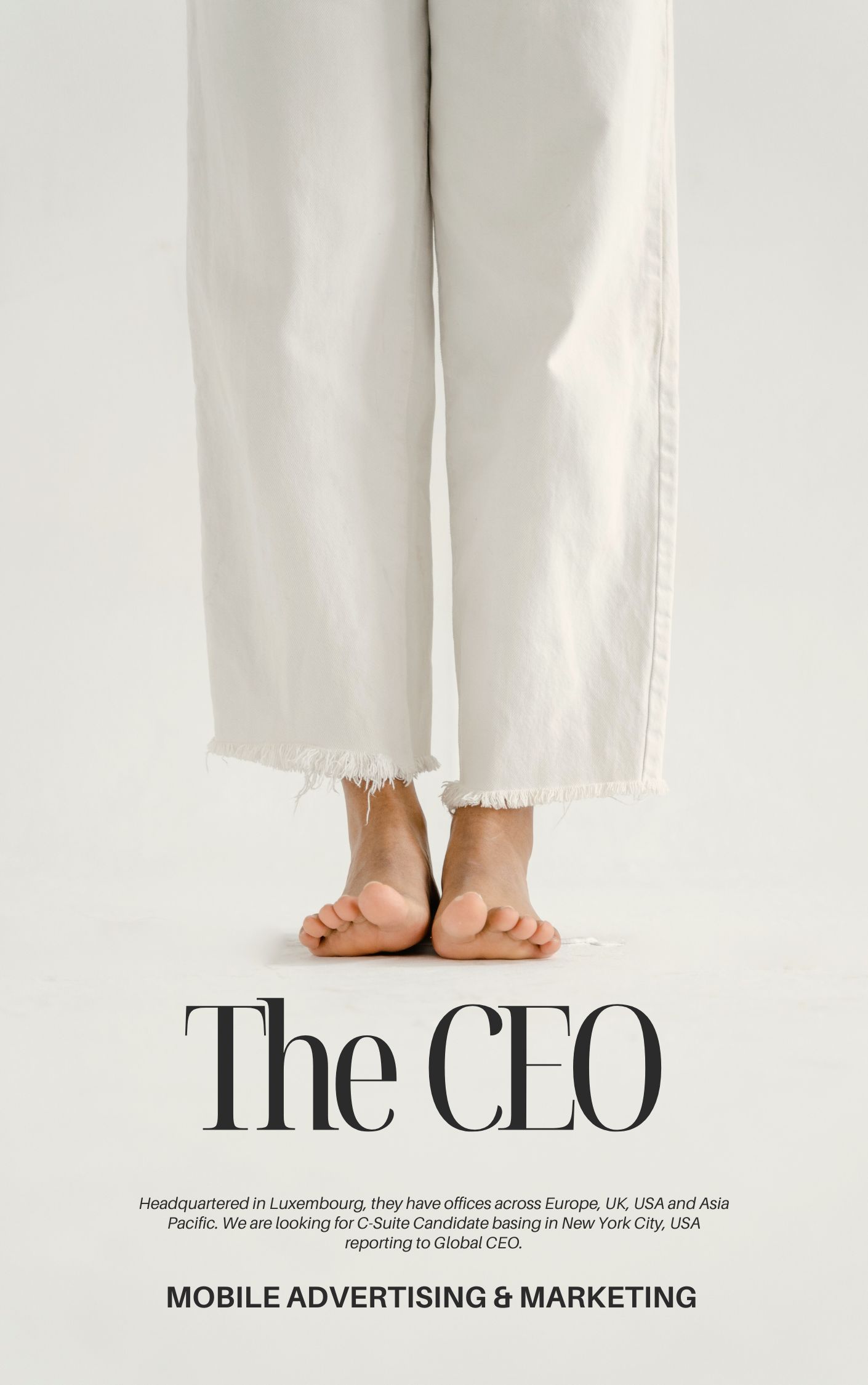 CEO - Mobile Advertising and Marketing